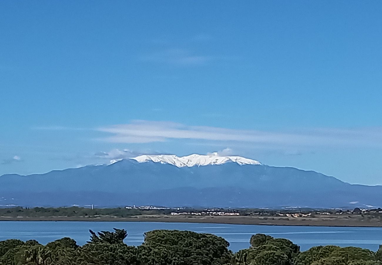 Ferienwohnung in Canet-en-Roussillon - Appartement 4 personnes vue mer avec parking 